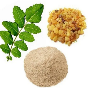 Boswellia