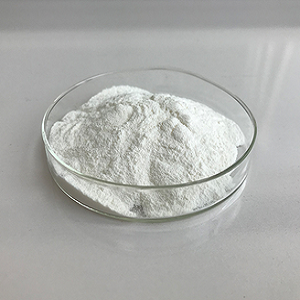 Xondroitin